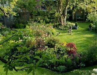 life's weeding process